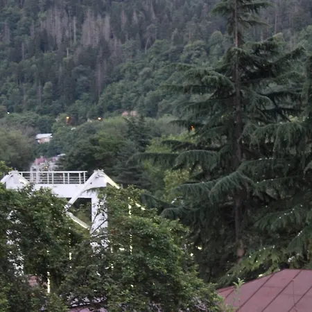 Diasamidzeebi Apartment Borjomi Exterior photo
