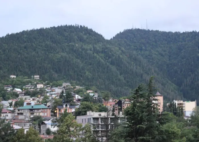 Diasamidzeebi Apartment